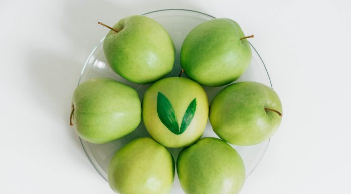 Healthy Snacks For Ladies on the Go