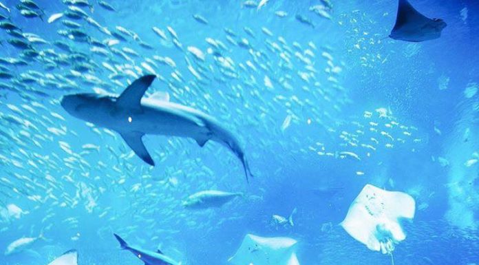 Breathtaking Underwater Hotels to Visit Breathtaking Underwater Hotels To Visit