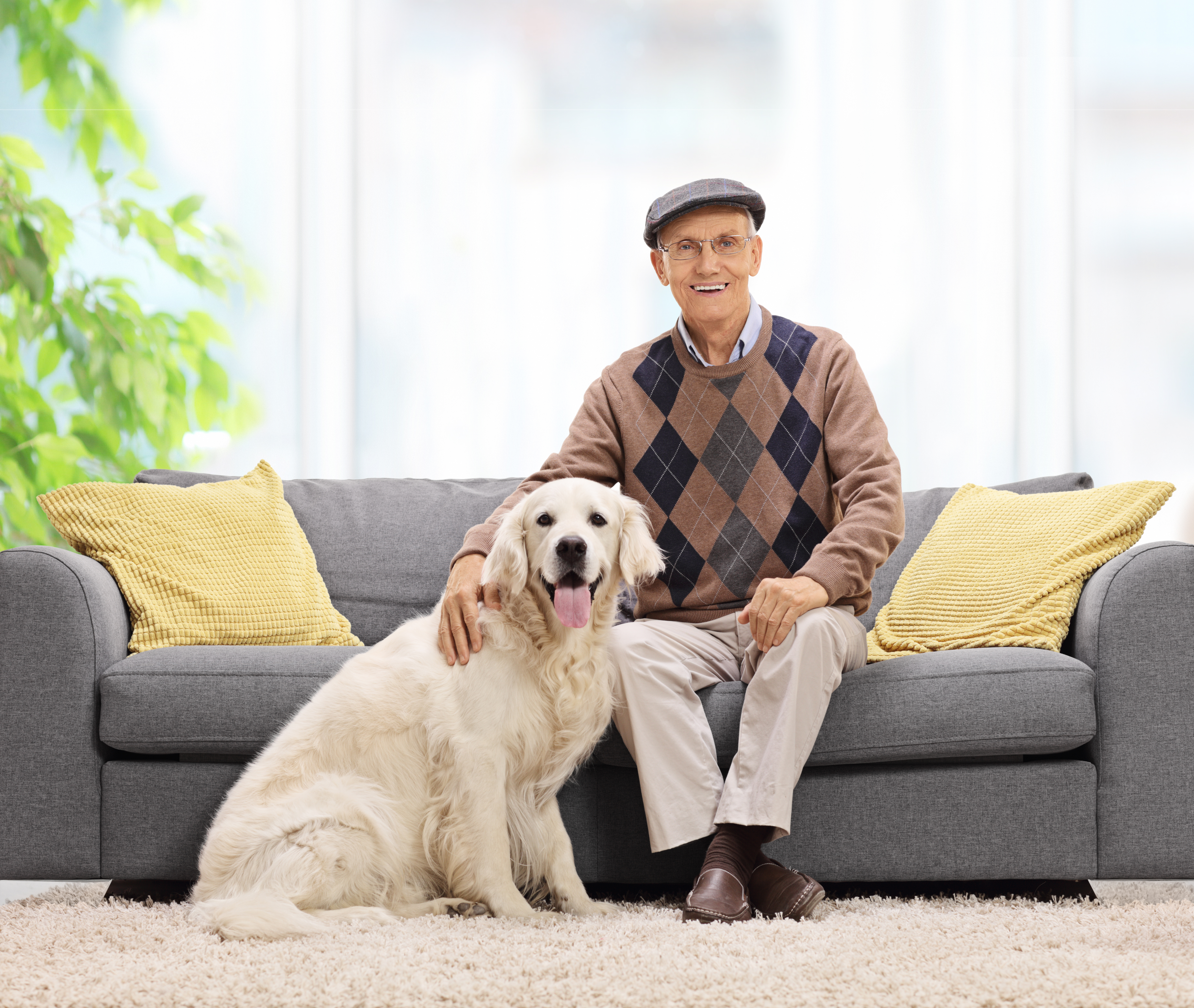 7 Dogs Breeds That Are Great For Seniors