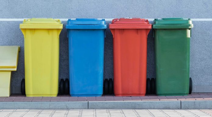 Your Guide to Cutting Down on Food Waste