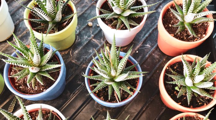 6 All-Natural Remedies For Sunburn
