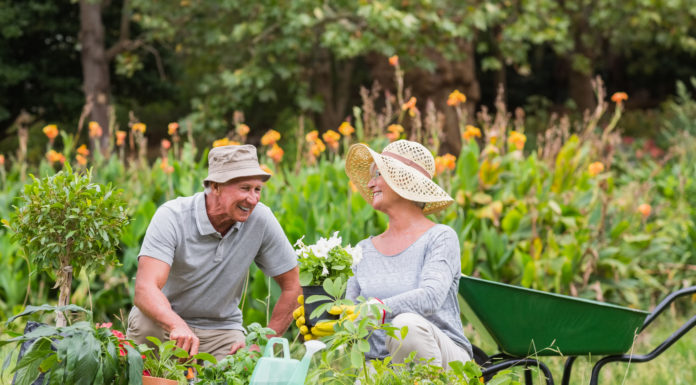 Seniors: These Lawn Care Tips Will Keep You Safe and You’ll Save You Money