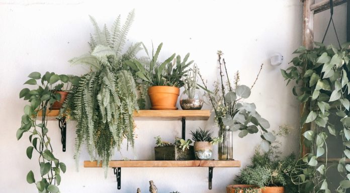 5 Home Decor Trends That We’ll Be Seeing Everywhere in 2023